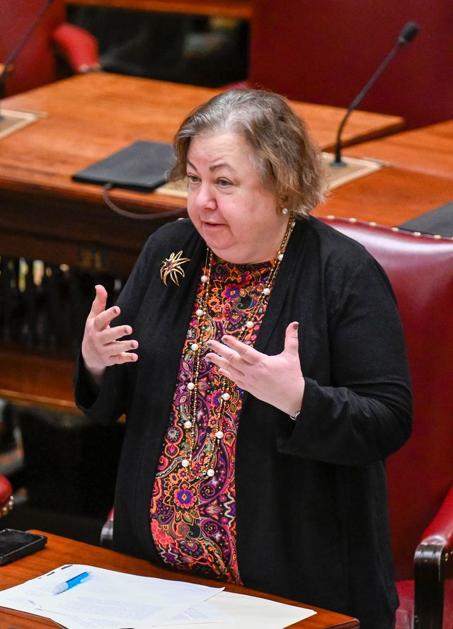 State Sen. Liz Krueger debates budget bills during a legislative session at the state capitol in Albany.